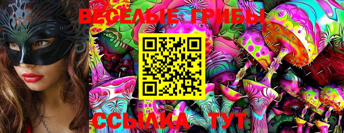 Каспийск  Псилоцибиновые грибы Magic Shrooms  Галлюциногенные грибы GOLDEN TEACHER  Вход с VPN 